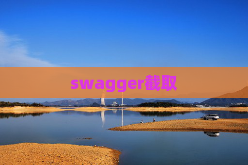 swagger截取